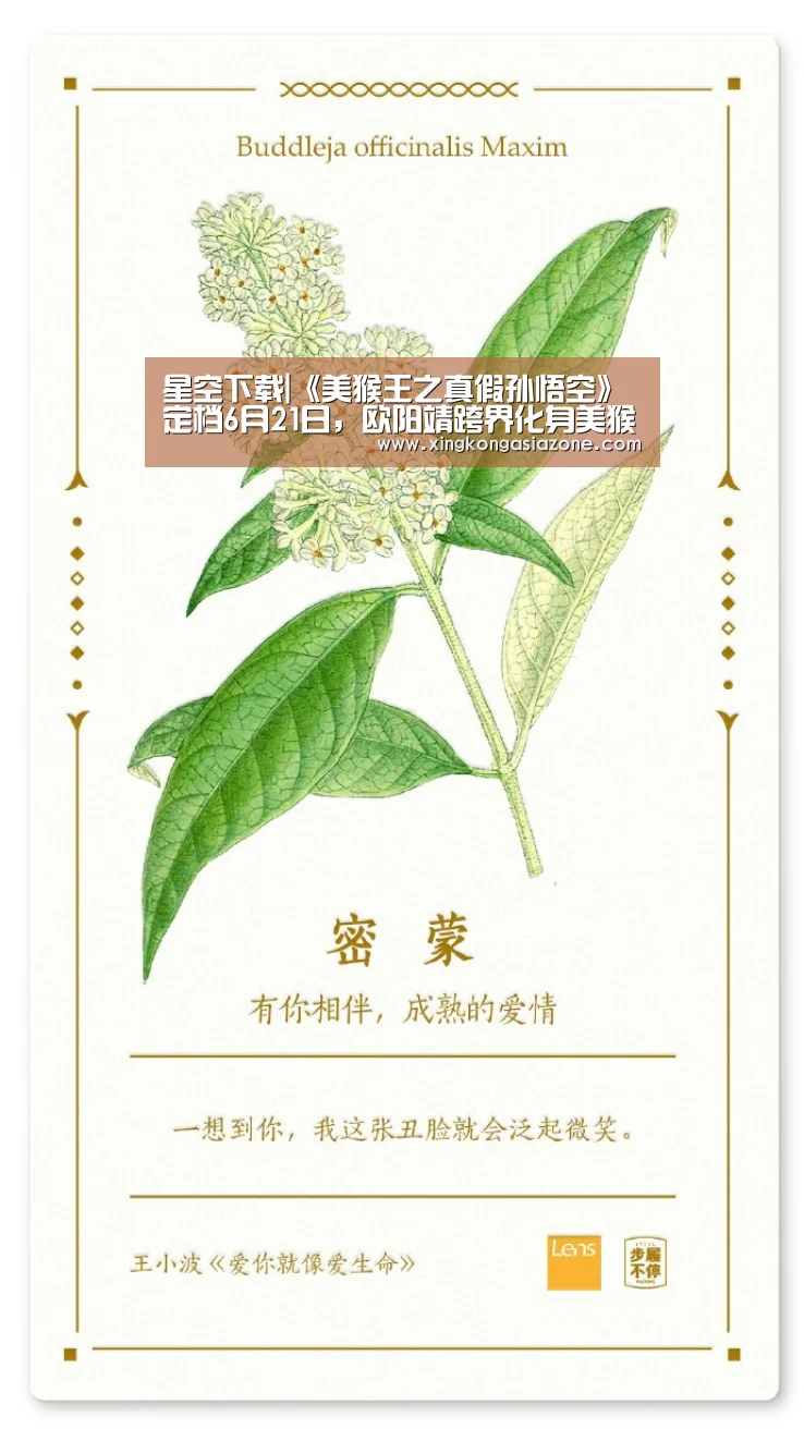 星空下载|《美猴王之真假孙悟空》定档6月21日,欧阳靖跨界化身美猴王(图2) 星空APP