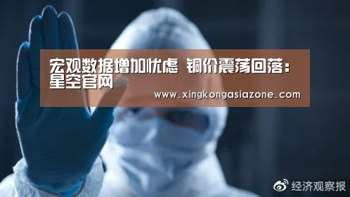 宏观数据增加忧虑 铜价震荡回落:星空官网(图1) 星空APP