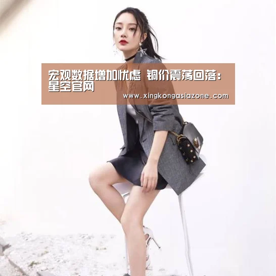 宏观数据增加忧虑 铜价震荡回落:星空官网(图2) 星空APP