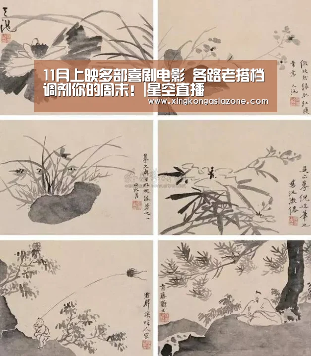星空官网