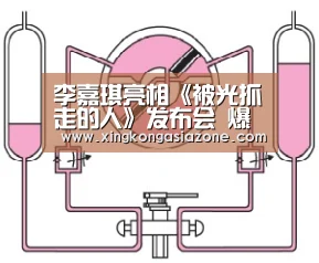 李嘉琪亮相《被光抓走的人》发布会 爆发力表演引期待_星空下载(图2) 星空官网